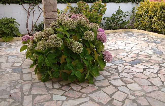 3 Bedroom Apartment in a Ground Floor of a Vila Wseparate Kitchen Living Room - Foto 36