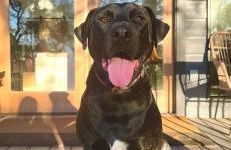 Relaxing Modern stay on a Ranch - Foto 77