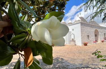 Trullo in vigna - Foto 9