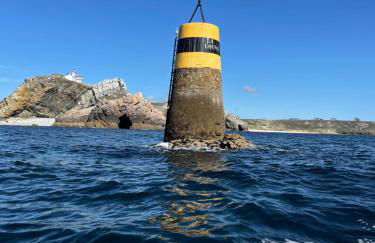 La Langouste ROUGE - Foto 33