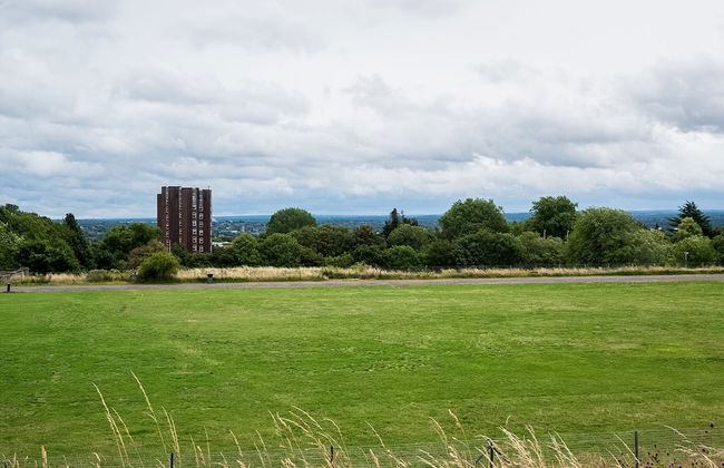 Crystal Palace Residence II - Foto 29