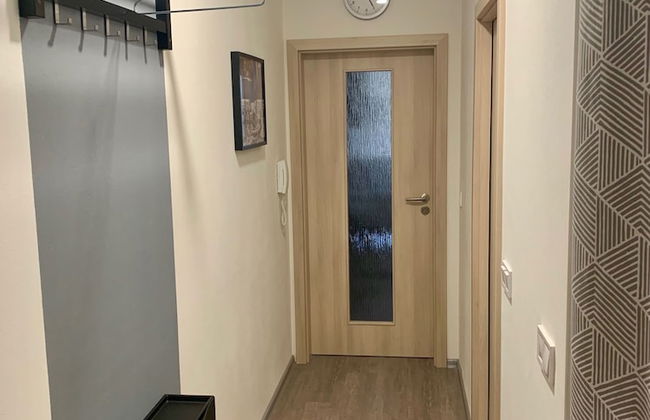 RS Apartments - Photo 11