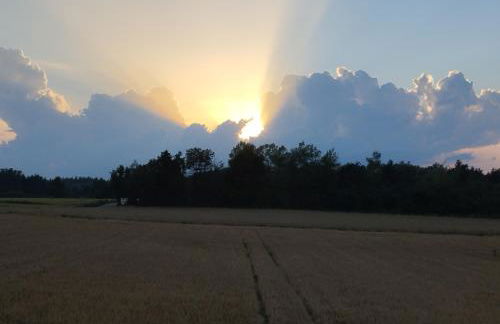 Ferienwohnung Down Under am Bodensee - Foto 17
