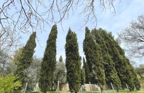 Agriturismo, Casa Borgo - Foto 50