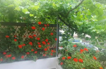 Relax Holistic House - Foto 60