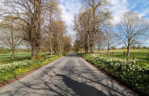 Catherine Parrs Sewing Room - Foto 28