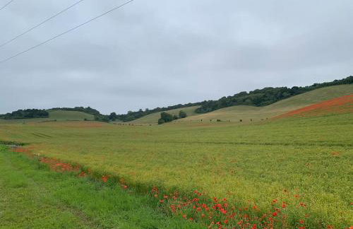 Romantic Shepherds hut with stunning sunsets - Photo 2