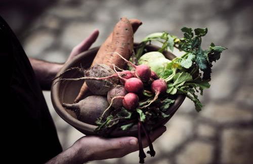 Leeda's Village - Photo 46