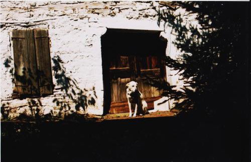 Ginî Viñis - Foto 32