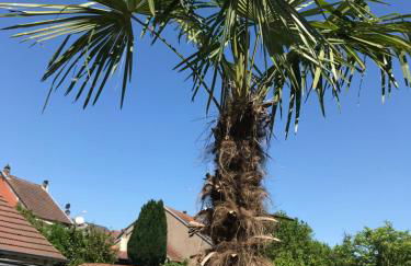 L'Atelier Zen - Foto 20