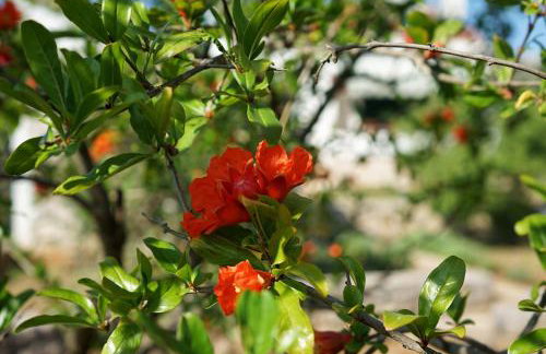 Holiday house "LEA" - Photo 57