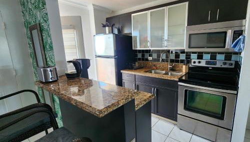 Bayfront Apartment Breathtaking Views- one bedroom w balcony- living room -Free Parking - Foto 5, pet friendly, storage, minibar