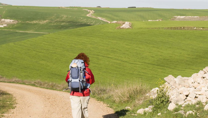 Tour del peregrino ¡Últimos kilómetros del Camino de Santiago!