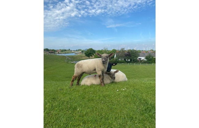 Home Port Modern Retreat - Foto 8