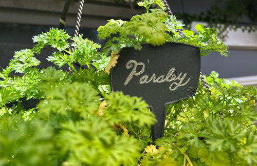 Artistic Retreat, King Suite with Private Balcony! - Foto 74