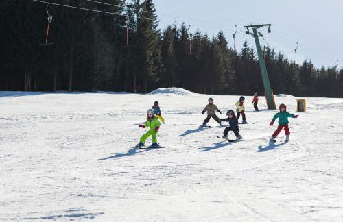 Design-Ferienhaus "auf der Schanz" mit privater Sauna - Todtnau-Muggenbrunn, Feldberg im Schwarzwald - Foto 22