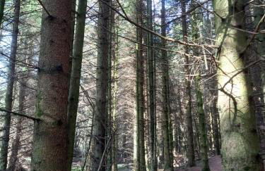 Lovely Semi-rural Caravan & Hot Tub - Sleeps Fam 6 - Photo 66