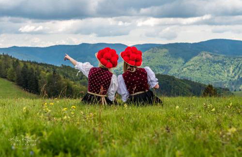 Fewo "Alpenliebe" im Haus Fritz, 3 Schlafzimmer, E-Auto-Ladestation, Eisenbach, Titisee - Foto 31