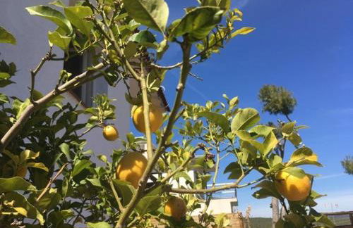 CASA DEL BOSQUE CON PISCINA EN SITGES - Photo 38