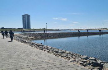 Büsumer blaue Krabbe - Foto 31