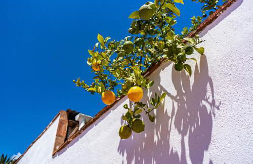 Villa Yanna - Foto 37