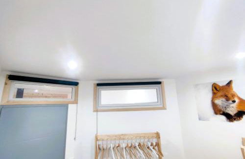 Le Bois Cosy appartement 4 étoiles 6 personnes, ACCES SKI ALPE D'HUEZ GRAND DOMAINE A 3 K M - Foto 59