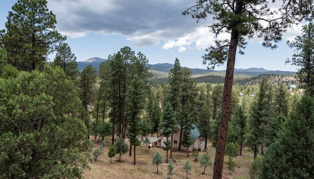 Vista Bonita by Ruidoso Vacation Rentals - Foto 2, Servicios del alojamiento