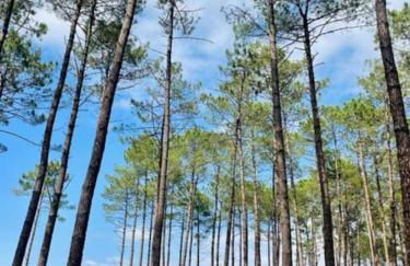 Maison de vacances à 5 minutes de l'océan et des commerces - Foto 11