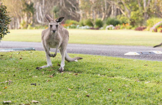 Reflections North Haven - Holiday Park - Foto 46