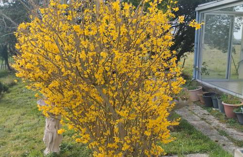 Maison de campagne dans le vignoble Gallacois - Foto 9
