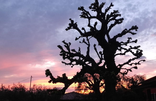 Agriturismo Le Tese - Foto 31