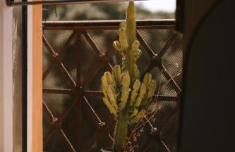 101 Flats Colosseo Suites - Foto 33