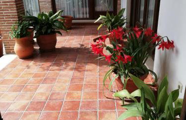 Apartamentos La Barataria especial WARNER - Foto 4