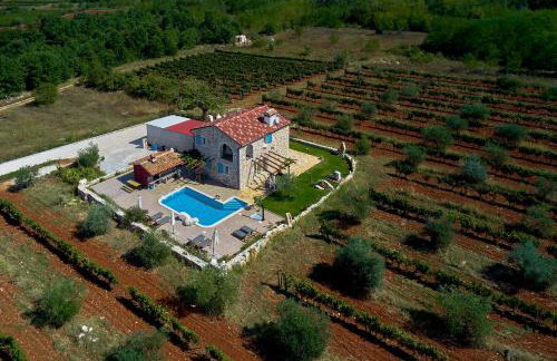 Relax house surrounded by olives and vineyard - Photo 54