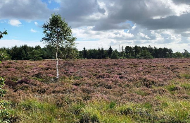 Nice Apartment Near Beach - Foto 20