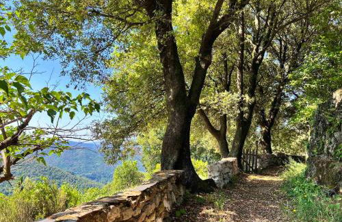 Maison charmante à Valleraugue avec piscine partagée. - Foto 15