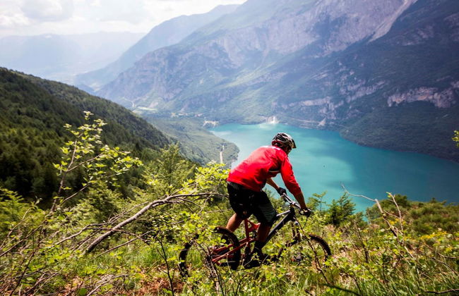 Bio Agritur Le Millemele - Foto 20