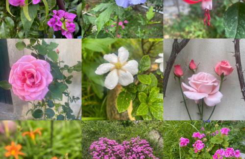 Appartement cosy avec oasis privée, salle de jeux, vélos bienvenus - Foto 32