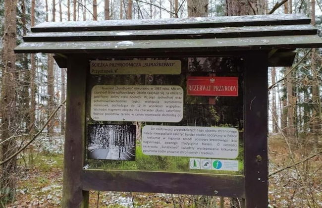 In The Woods Lodge With hot tub Inside Puszcza Knyszyśnka - Two-bedroom Villa - Photo 12