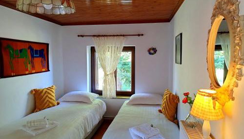 Cosy lake house, μια ανάσα πριν τη λίμνη - Foto 5, Garden view