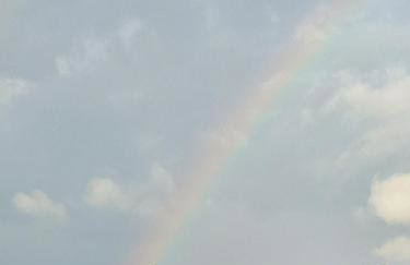 Querência MaeDa - Photo 11