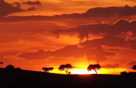Casa da Comadre - Casas de Taipa - Foto 43