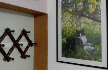 Studio apartman Šafarić - Foto 45