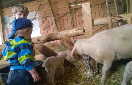 Allgäu Ferienhof Schönberger - Photo 50