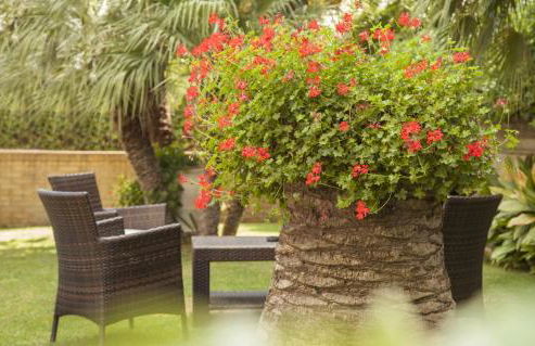 Residence Torre Del Mar - Foto 31