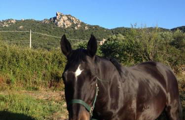 Agriturismo La Casa delle Fate - Photo 54