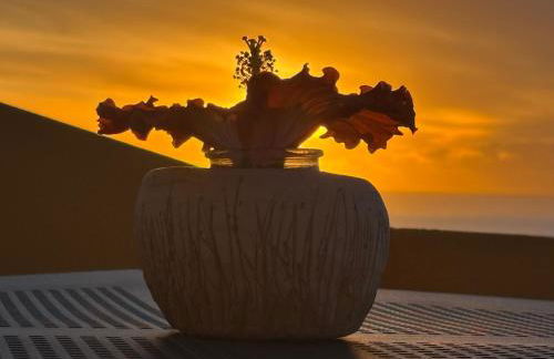 Bela Vigia - Foto 61