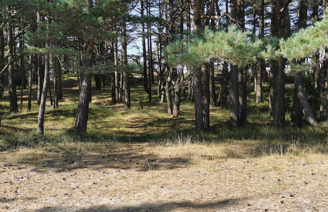 Seaside Charm in Flaton Retreat-by Traum - Foto 8