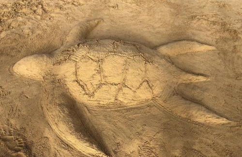 Apt H - Beach Village - Foto 28