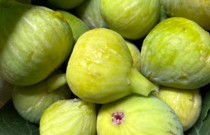 Apartment with a terrace Forest Home Lullula - Photo 27